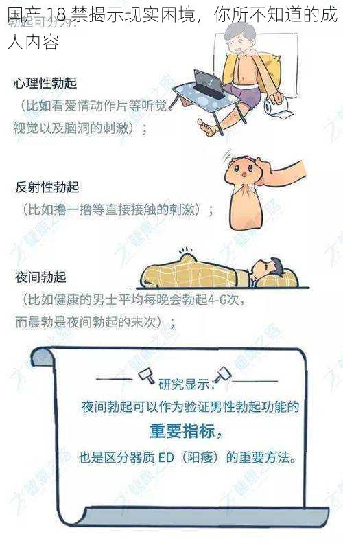 国产 18 禁揭示现实困境,你所不知道的成人内容
