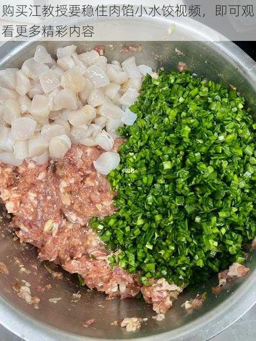 购买江教授要稳住肉馅小水饺视频,即可观看更多精彩内容