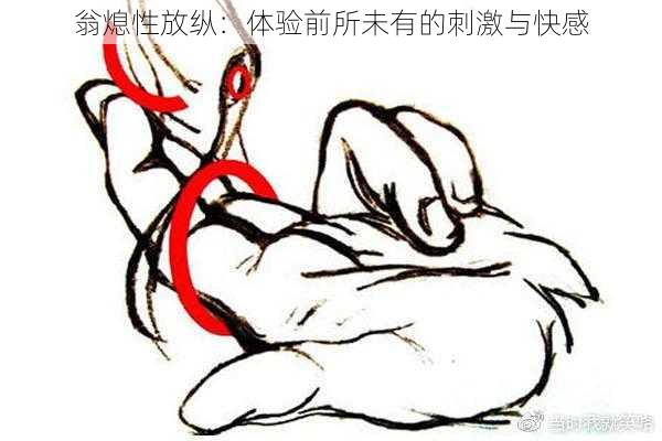 翁熄性放纵:体验前所未有的刺激与快感