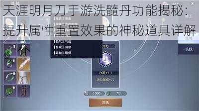 天涯明月刀手游洗髓丹功能揭秘:提升属性重置效果的神秘道具详解