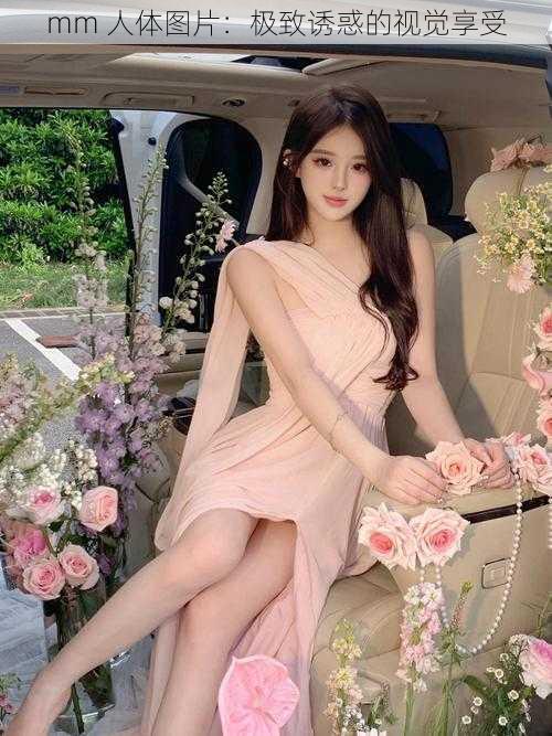 mm 人体图片:极致诱惑的视觉享受