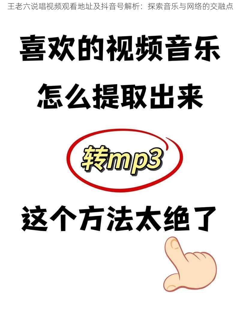 王老六说唱视频观看地址及抖音号解析:探索音乐与网络的交融点