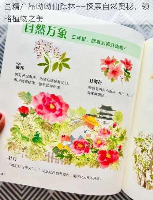 国精产品呦呦仙踪林——探索自然奥秘,领略植物之美