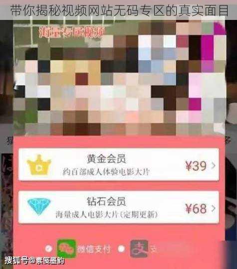 带你揭秘视频网站无码专区的真实面目