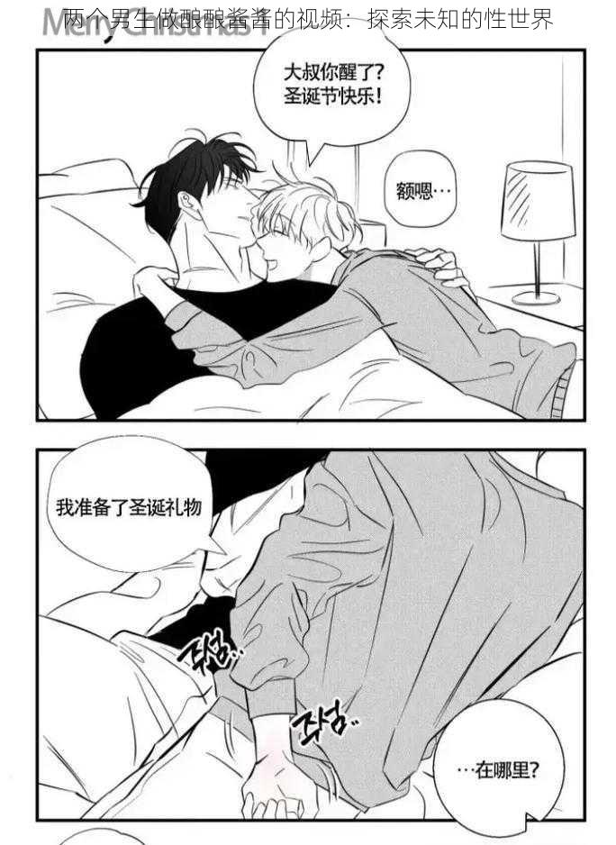 两个男生做酿酿酱酱的视频:探索未知的性世界