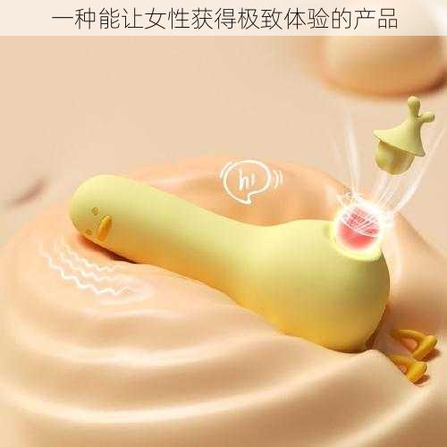 一种能让女性获得极致体验的产品