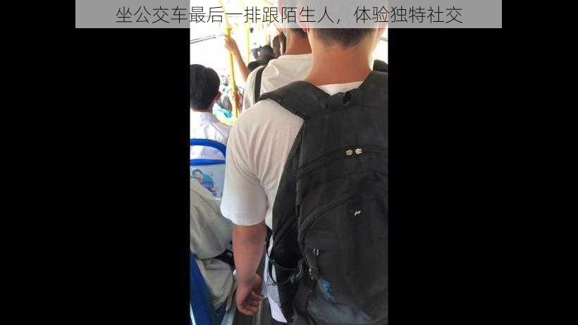 坐公交车最后一排跟陌生人,体验独特社交