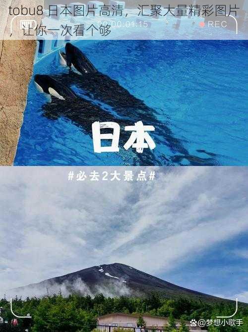 tobu8 日本图片高清,汇聚大量精彩图片,让你一次看个够
