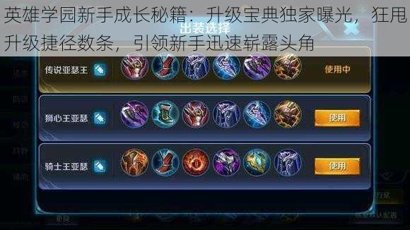 英雄学园新手成长秘籍:升级宝典独家曝光,狂甩升级捷径数条,引领新手迅速崭露头角
