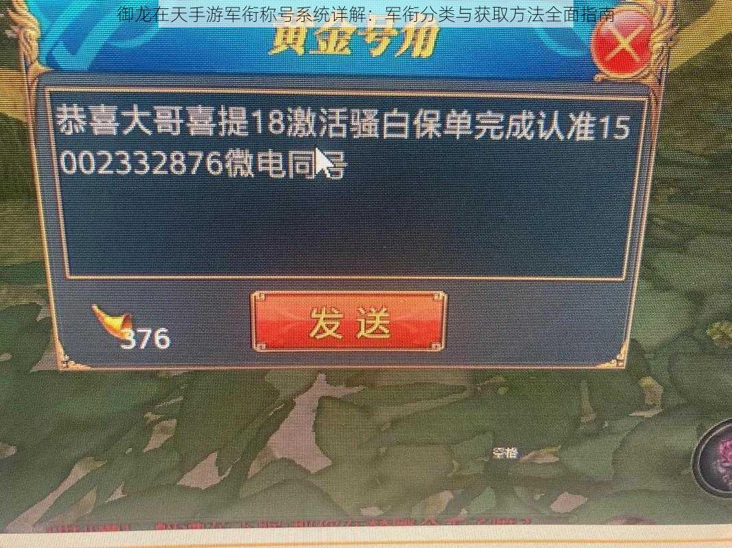御龙在天手游军衔称号系统详解:军衔分类与获取方法全面指南