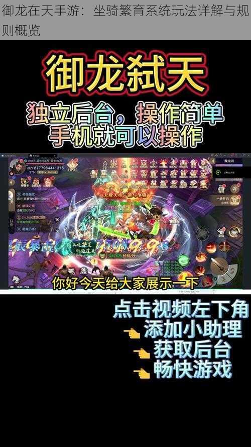 御龙在天手游:坐骑繁育系统玩法详解与规则概览
