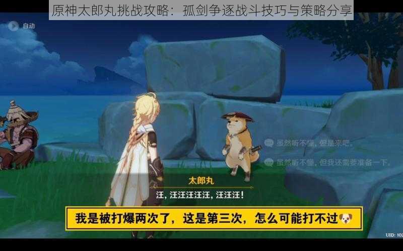 原神太郎丸挑战攻略:孤剑争逐战斗技巧与策略分享