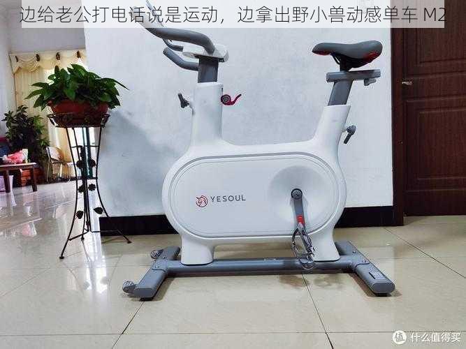 边给老公打电话说是运动,边拿出野小兽动感单车 M2