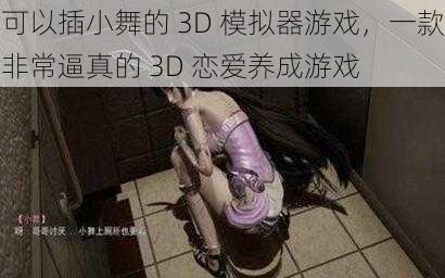 可以插小舞的 3D 模拟器游戏,一款非常逼真的 3D 恋爱养成游戏