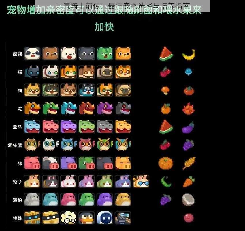 元气骑士前传:最佳宠物选择与培养指南