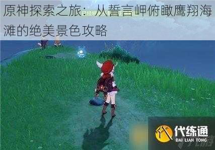 原神探索之旅:从誓言岬俯瞰鹰翔海滩的绝美景色攻略