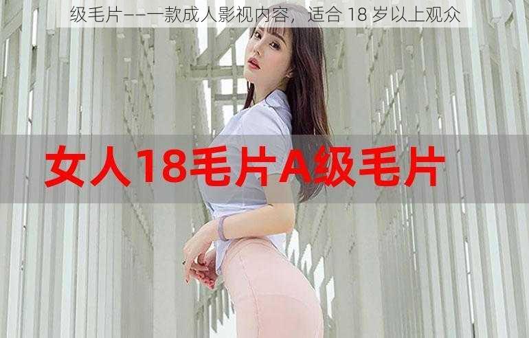 级毛片——一款成人影视内容,适合 18 岁以上观众