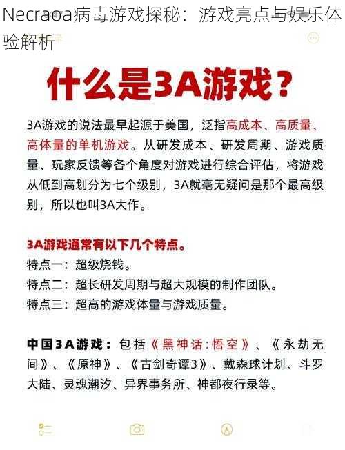Necraoa病毒游戏探秘:游戏亮点与娱乐体验解析