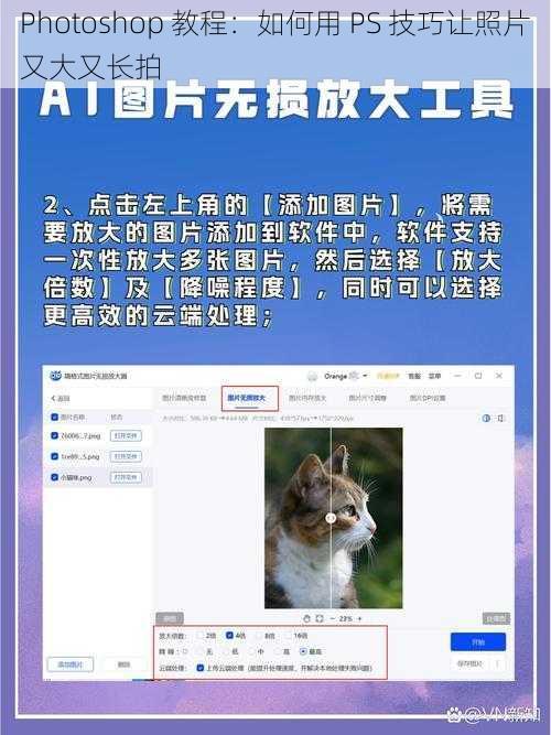 Photoshop 教程:如何用 PS 技巧让照片又大又长拍