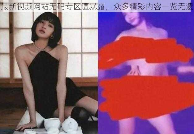 最新视频网站无码专区遭暴露，众多精彩内容一览无遗