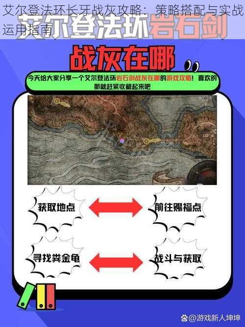 艾尔登法环长牙战灰攻略:策略搭配与实战运用指南