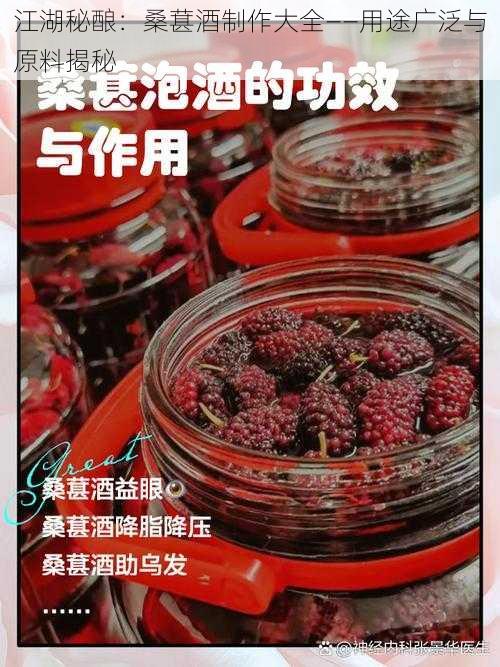江湖秘酿:桑葚酒制作大全——用途广泛与原料揭秘