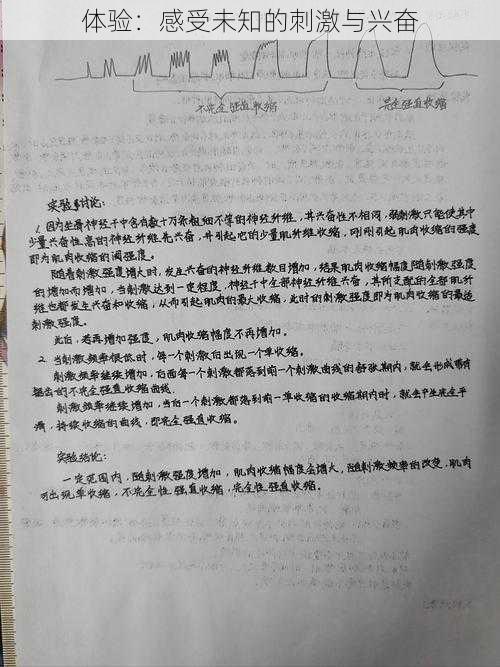 体验:感受未知的刺激与兴奋