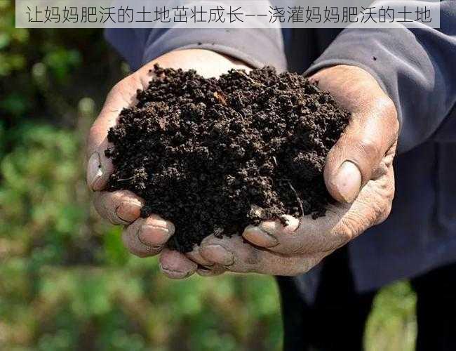 让妈妈肥沃的土地茁壮成长——浇灌妈妈肥沃的土地