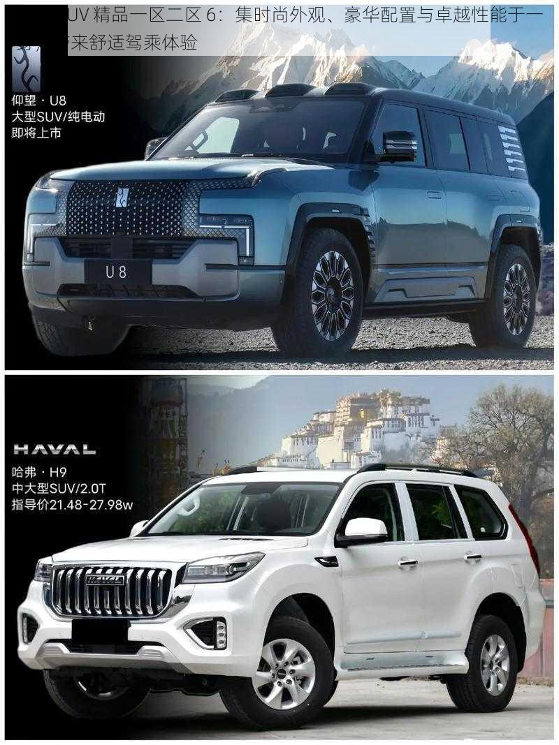 国产 SUV 精品一区二区 6:集时尚外观、豪华配置与卓越性能于一身,带来舒适驾乘体验