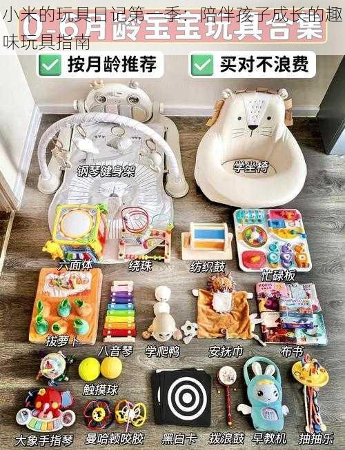 小米的玩具日记第一季:陪伴孩子成长的趣味玩具指南