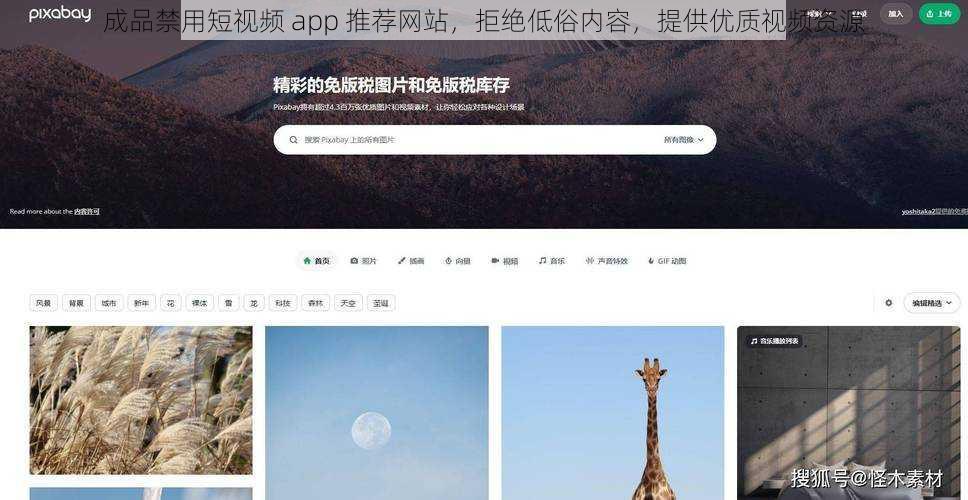成品禁用短视频 app 推荐网站,拒绝低俗内容,提供优质视频资源