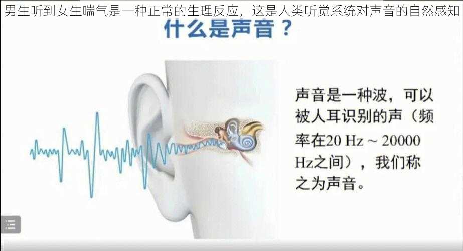 男生听到女生喘气是一种正常的生理反应,这是人类听觉系统对声音的自然感知