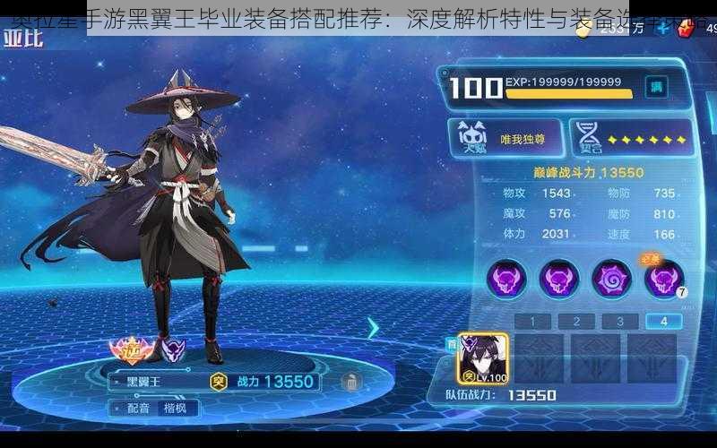 奥拉星手游黑翼王毕业装备搭配推荐:深度解析特性与装备选择策略