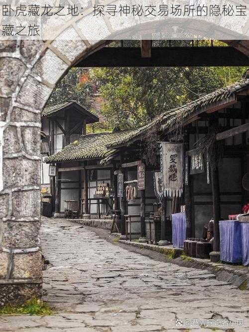卧虎藏龙之地:探寻神秘交易场所的隐秘宝藏之旅