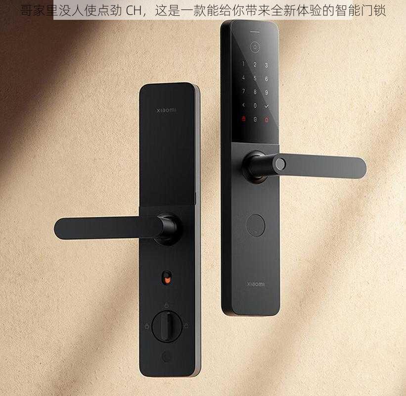 哥家里没人使点劲 CH,这是一款能给你带来全新体验的智能门锁