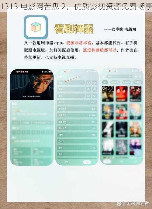 1313 电影网苦瓜 2,优质影视资源免费畅享