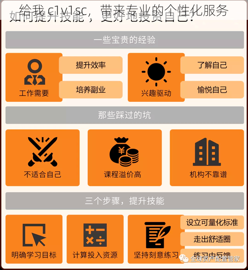 给我 c1v1sc，带来专业的个性化服务