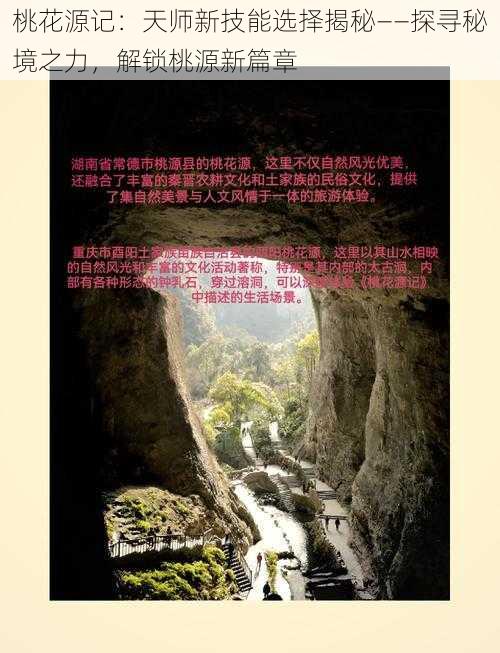 桃花源记:天师新技能选择揭秘——探寻秘境之力,解锁桃源新篇章