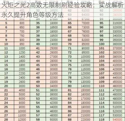 火炬之光2高效无限制刷经验攻略:实战解析永久提升角色等级方法