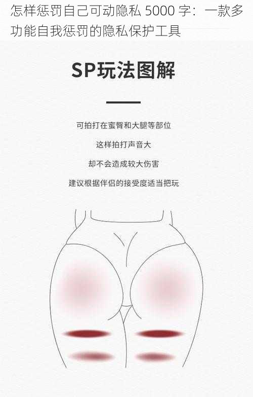 怎样惩罚自己可动隐私 5000 字:一款多功能自我惩罚的隐私保护工具