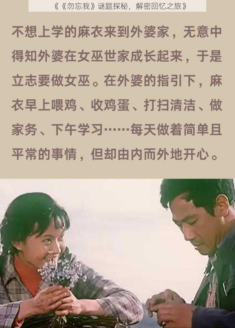 《《勿忘我》谜题探秘,解密回忆之旅》