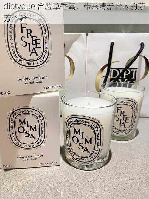 diptyque 含羞草香薰，带来清新怡人的芬芳体验