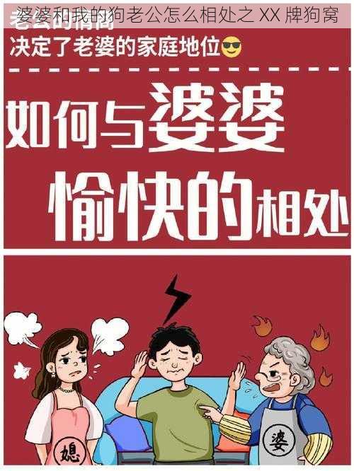 婆婆和我的狗老公怎么相处之 XX 牌狗窝