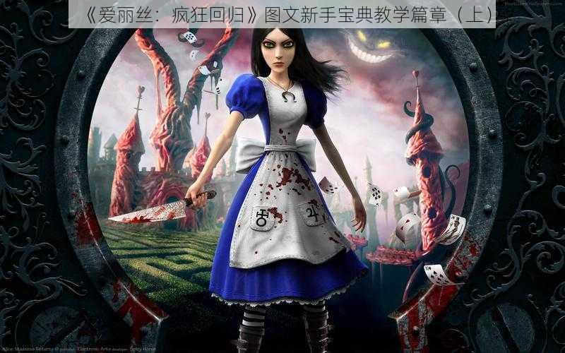 《爱丽丝:疯狂回归》图文新手宝典教学篇章(上)