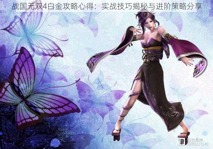 战国无双4白金攻略心得:实战技巧揭秘与进阶策略分享