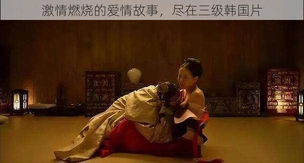 激情燃烧的爱情故事,尽在三级韩国片