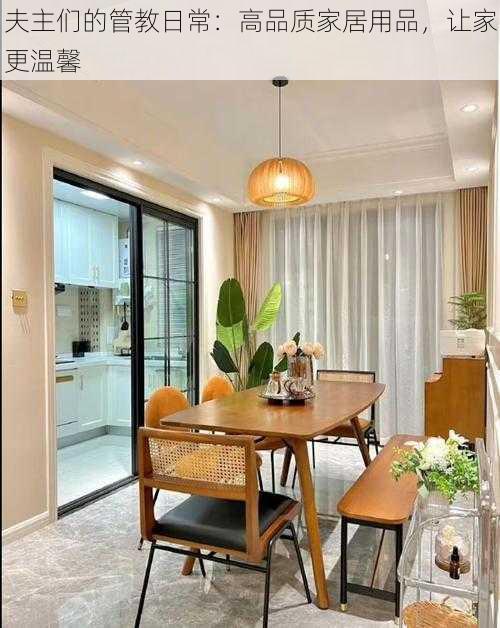 夫主们的管教日常:高品质家居用品,让家更温馨