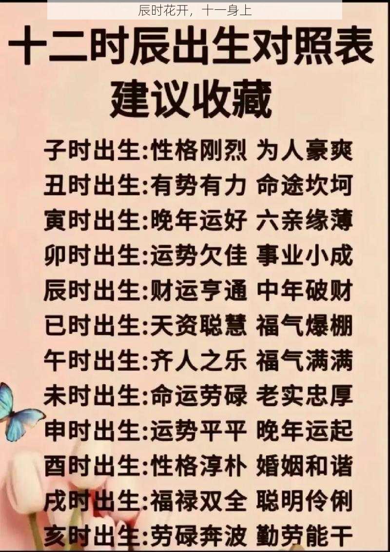 辰时花开,十一身上