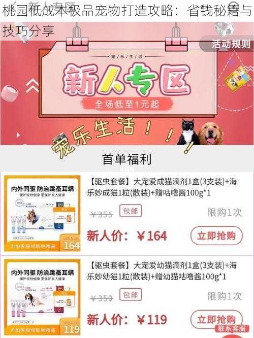 桃园低成本极品宠物打造攻略:省钱秘籍与技巧分享