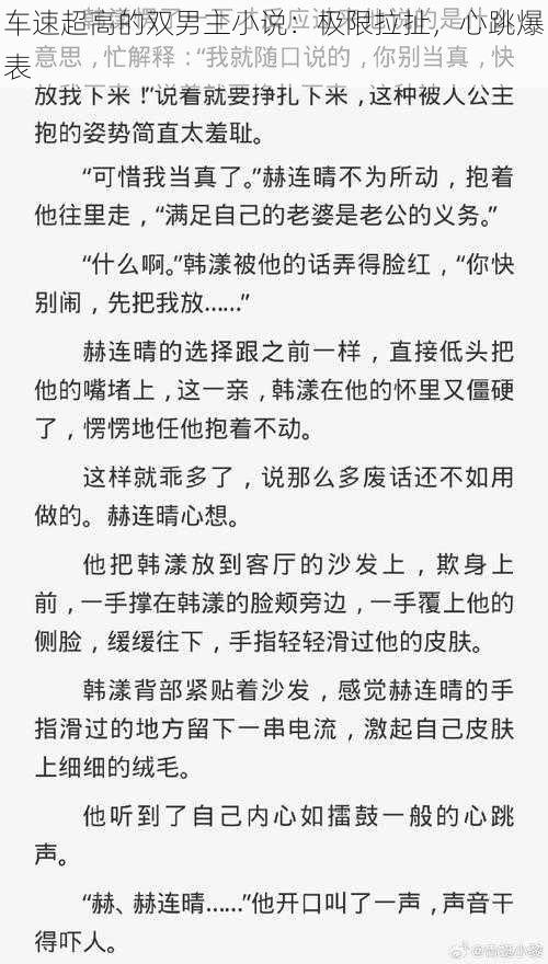 车速超高的双男主小说:极限拉扯,心跳爆表